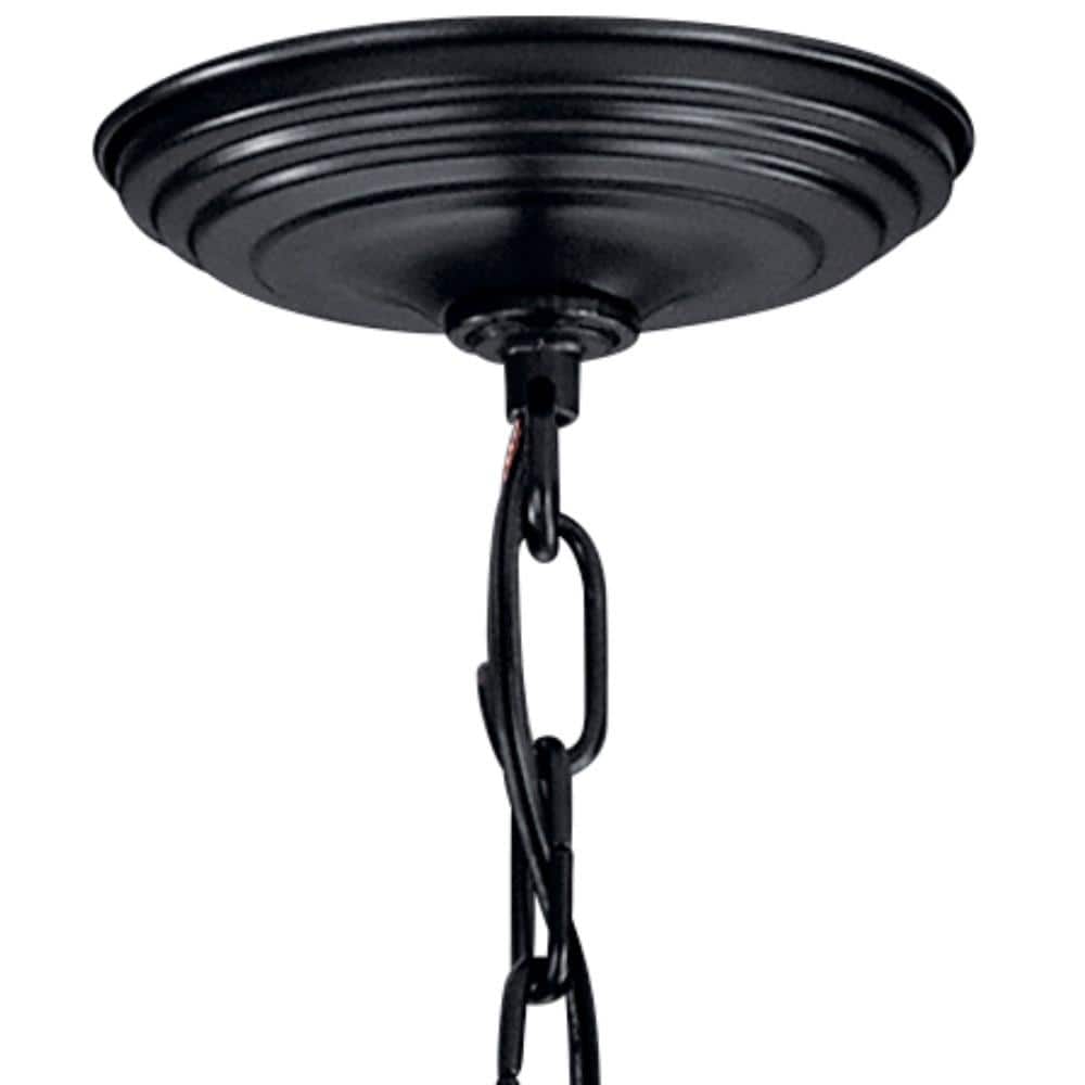 Black 48" Cage Outdoor Pendant Light with 8 Bulbs