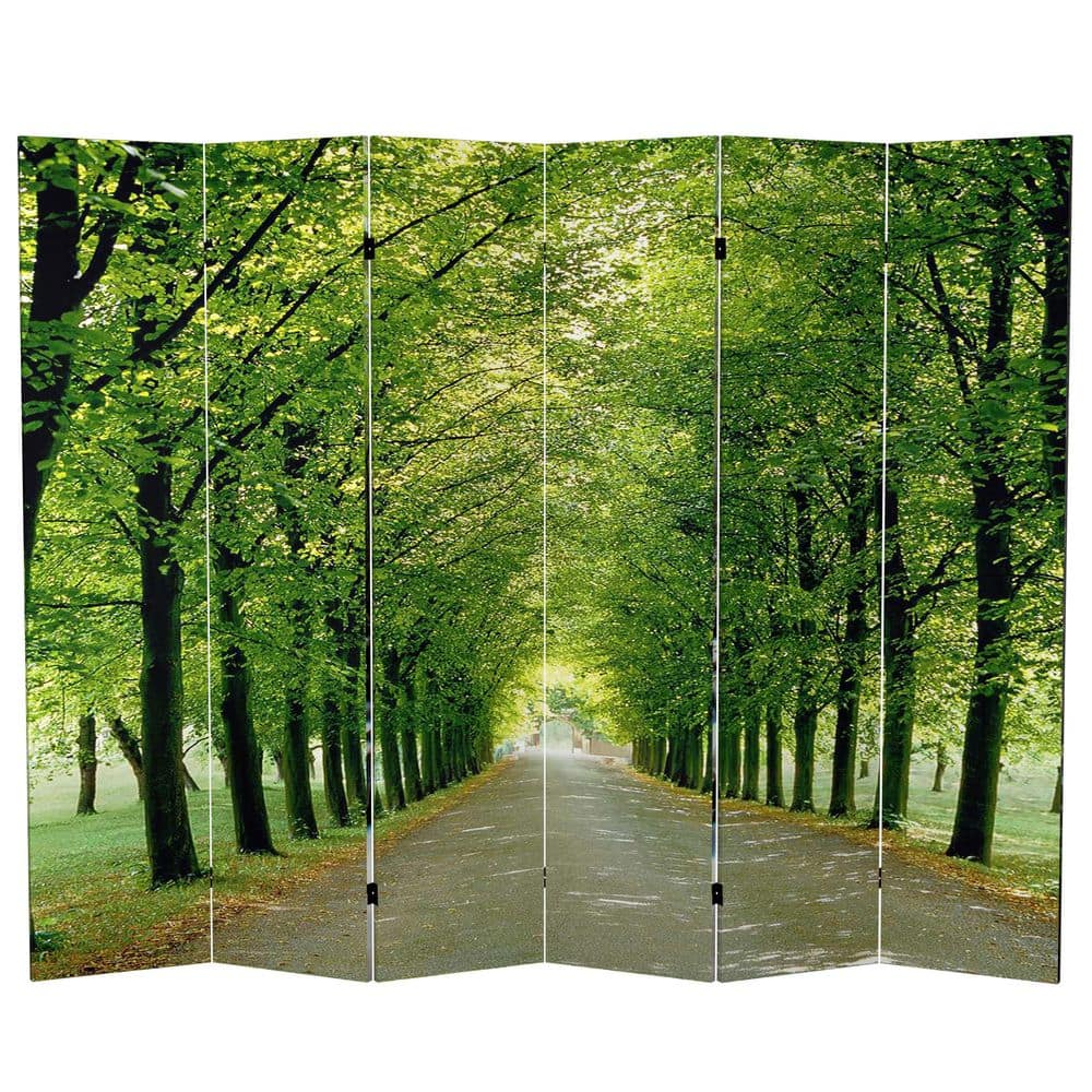 Path of Life 6-Panel Double Sided Canvas Room Divider
