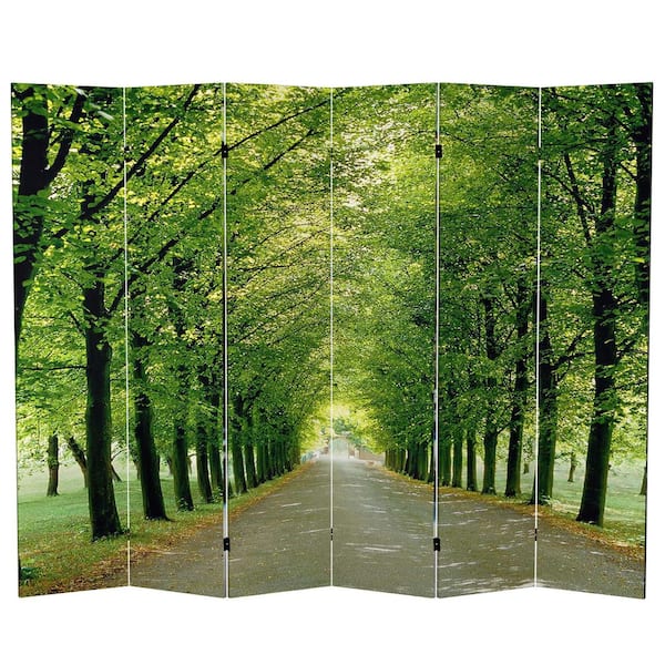 6 ft. Printed 6-Panel Room Divider