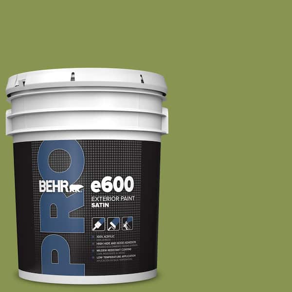 BEHR PRO 5 gal. #M350-6 Frog Satin Exterior Paint