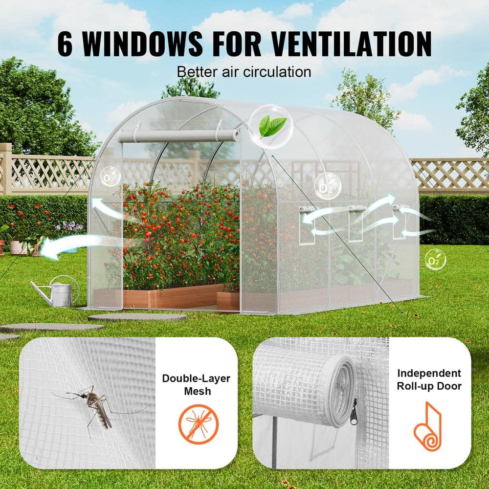 Large White Walk-In Tunnel Greenhouse with Galvanized Steel Frame