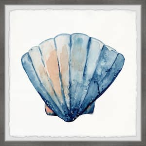 "Scallop Shell" by Marmont Hill Framed Animal Art Print 12 in. x 12 in.