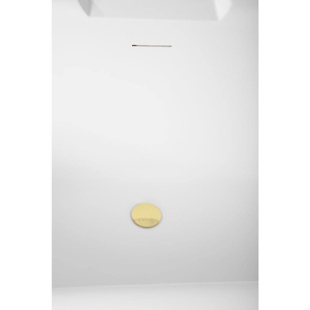 67" Matte White Acrylic Freestanding Soaking Tub with Polished Brass Trim