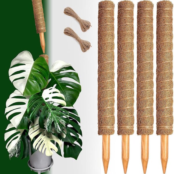 22 in. H Brown Coir Stackable Moss Pole for Plants Monstera Coir Totem  Plant Support Stakes Stand for Plants, (4-Pack) OGSA04-3094 - The Home Depot
