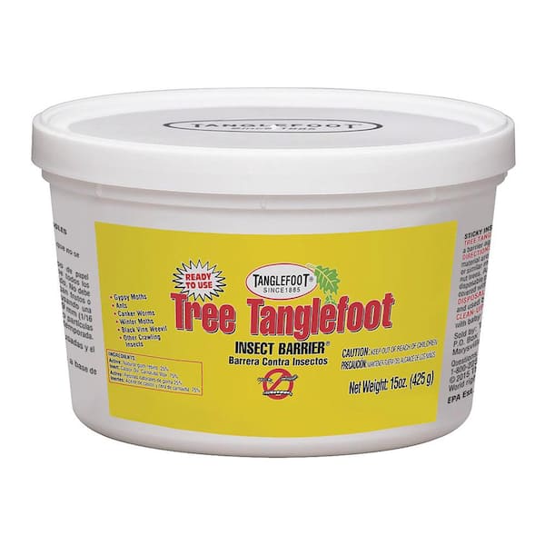 Tanglefoot Pantry Pest Trap System