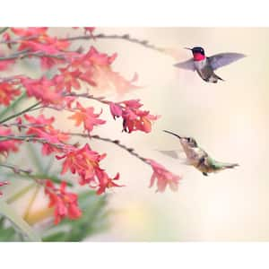 Humming Birds Wall Mural