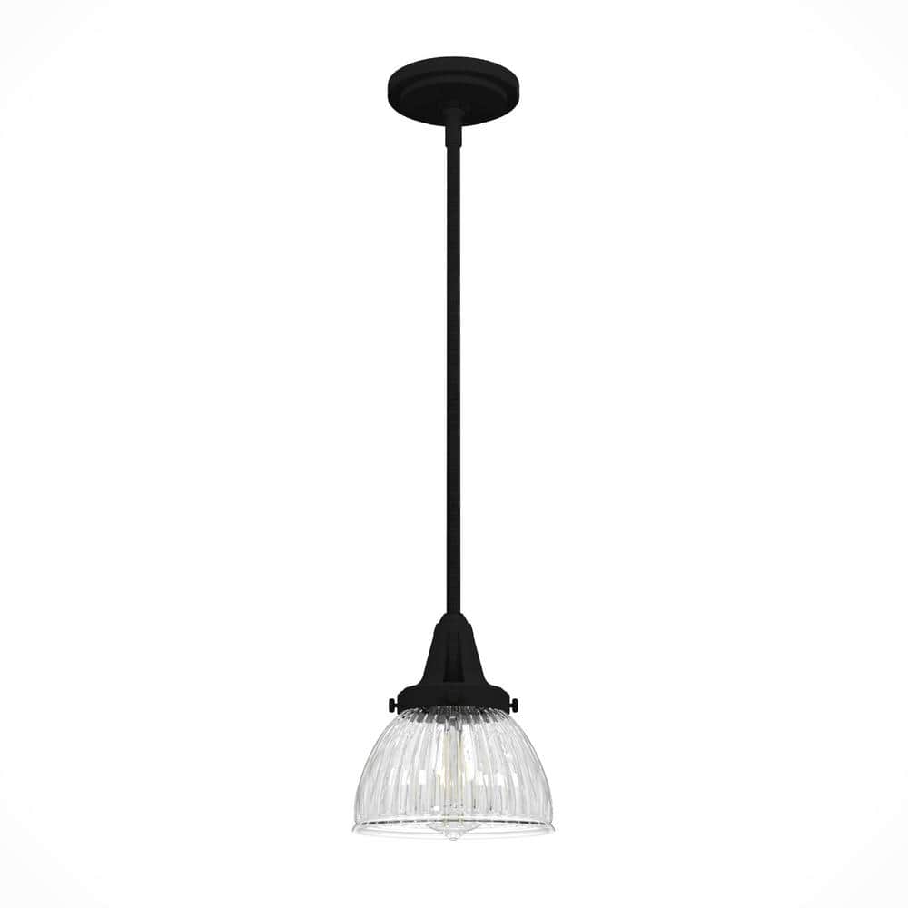 Hunter Cypress Grove Natural Black Iron Mini Pendant Light with Clear Glass Dome Shade