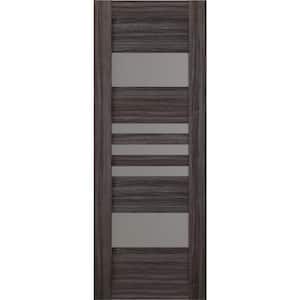 Leti 18 in. x 80 in. No Bore Solid Core 5-Lite Frosted Glass Gray Oak Finished Wood Composite Interior Door Slab