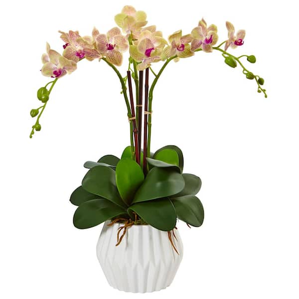 Nearly Natural Single Stem Phalaenopsis Silk Orchids - Gold - Artificial  Flowers - Silk Flowers