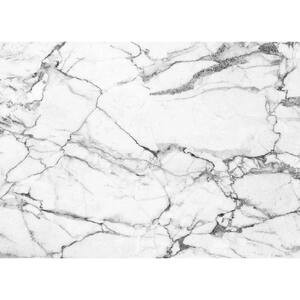 Marble 18 in. x 13 in. Grays Polypropylene Placemats (Set of 6)