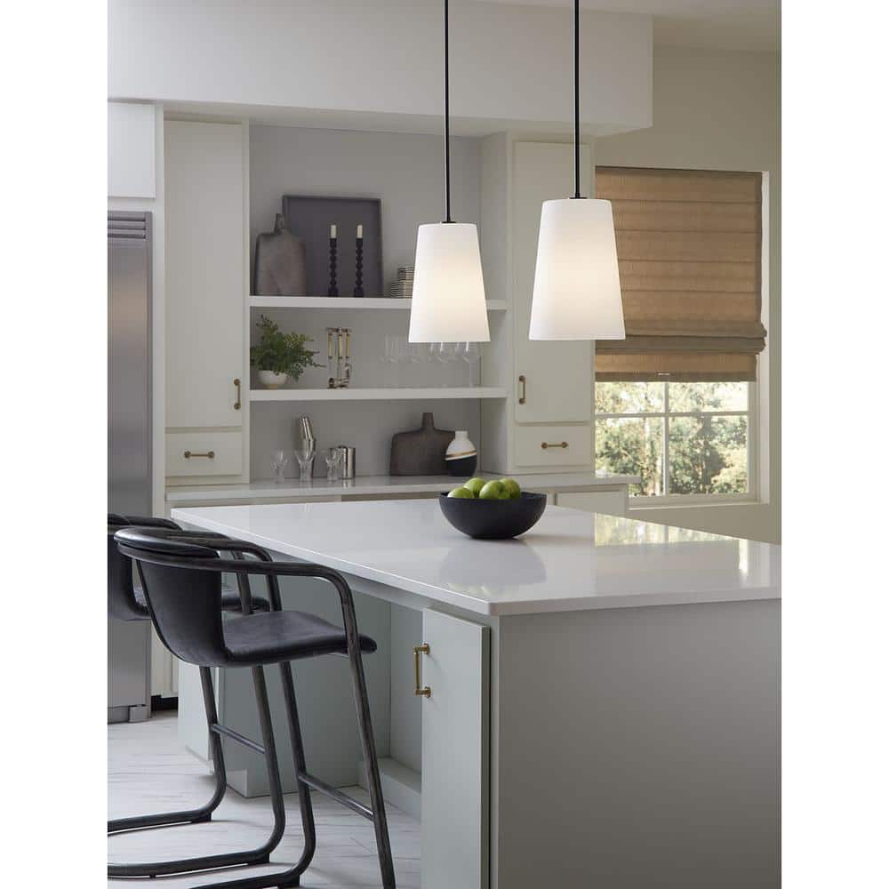 Clarion Collection 1-Light Matte Black Etched White Transitional Pendant price history on PriceWatchPro