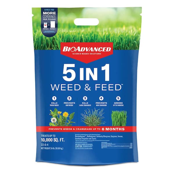 BIOADVANCED 24 lbs. Granule 5-In-1 Weed and Feed for Northern Lawns