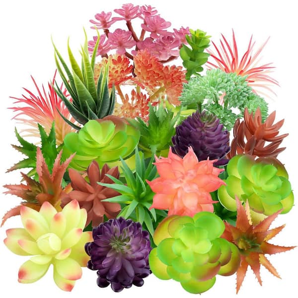 Unbranded 4.7 in. Colorful Artificial Succulent Plants 22 Piece, Indoor  Outdoor Fake Succulents for Home Garden Office 59B1124C1935