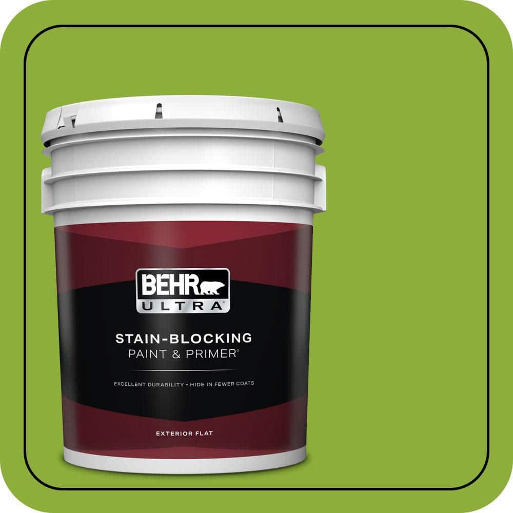 5 gal. #420B-6 New Green Flat Exterior Paint & Primer price history on PriceWatchPro