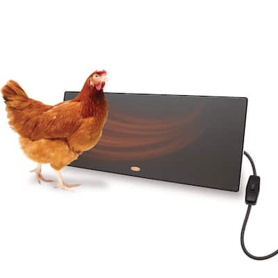 Cozy Chickens Coop Heating Panel Keep Chicks Warm Inside Chicken Coops 150 Watts