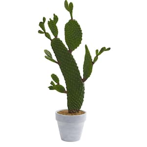 27 in. Indoor Cactus Artificial Plant
