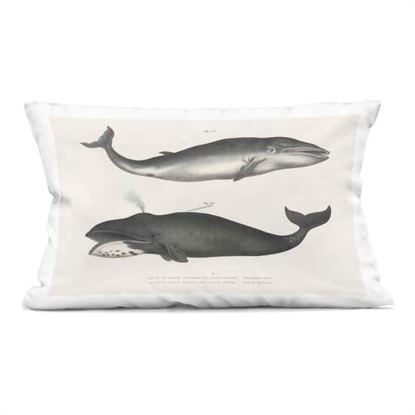 Stupell Industries Vintage Whale Study Diagrams Grey Abstract Polyester 14 in. X 20 in. Throw Pillow