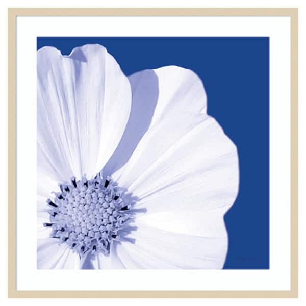 Amanti Art Flower Pop blue III by Marie Elaine Cusson 33 in. W x 33 in. H. Wood Framed Wall Art Print Framed in Brown