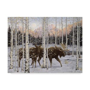 Forest Twilight by Jeff Tift Hidden Frame Animal Wall Art 24 in. x 32 in.