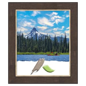 Lined Bronze Picture Frame Opening Size 18 x 22 in.
