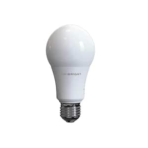 100-Watt Equivalent A19 E26 General Purpose Standard LED Light Bulb - (12-Pack)