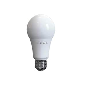 100-Watt Equivalent A19 Non-Dimmable UL Listed LED Light Bulb Warm White 2700K (24-Pack)