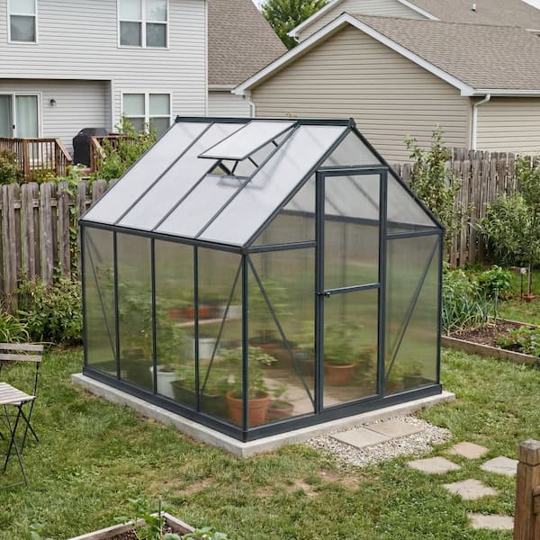 CANOPIA by PALRAM Mythos 6 ft. x 8 ft. Gray/Clear Polycarbonate