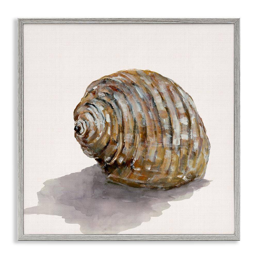 Curved Seashell on Beige by Jacob Q Gray Framed Coastal Giclee Art Print 24 in. x 24 in. price history on PriceWatchPro