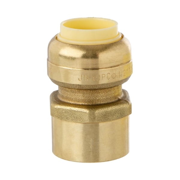 LittleWell 1/2 in. Push-Fit x 1/2 in. Female Pipe Thread Brass Coupling