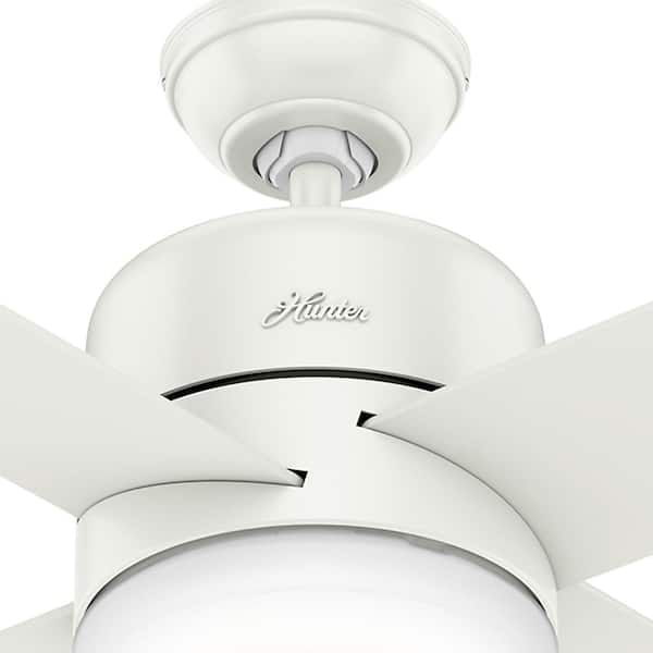 Hunter Advocate 60 In Integrated Led Indoor Fresh White Low Profile Smart Ceiling Fan With Light And Remote Control 59368 The Home Depot