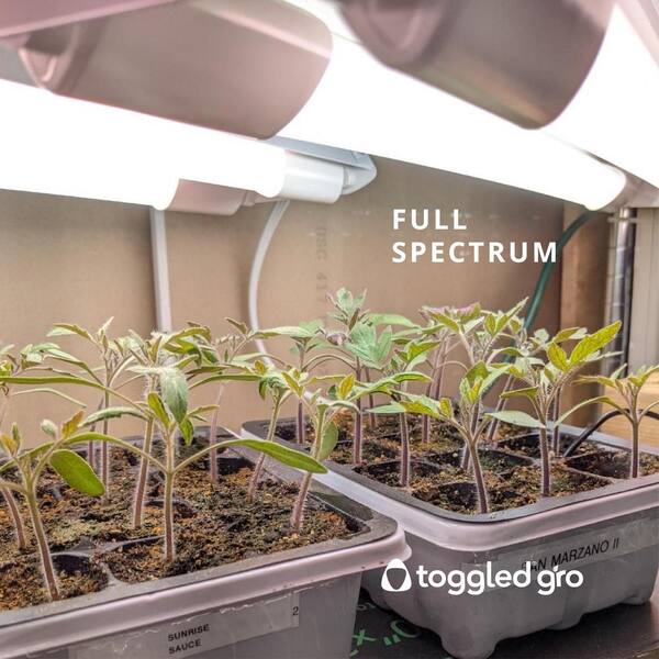 thumbnail image 2 of 8-Pack 4FT T8 LED Grow Lights Full Spectrum 40W - Red Spectrum Plant Light 2 of 4