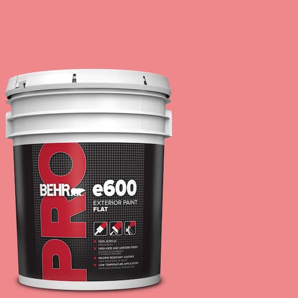 BEHR PRO 5 gal. #140B-5 Flamingo Dream Flat Exterior Paint
