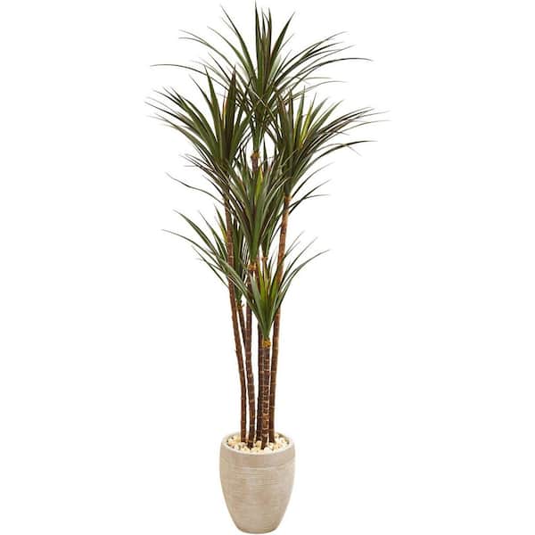 5.7 ft. Artificial Yucca Tree in Beige Planter, Artificial Indoor Home Decor Plant