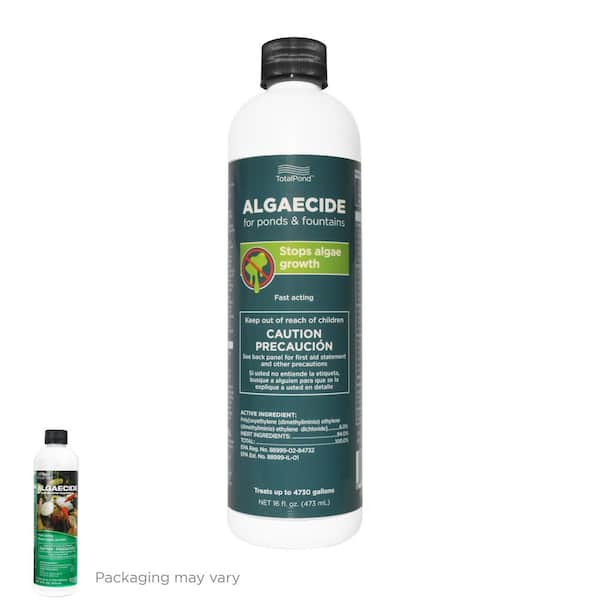 16 oz. Algaecide for Ponds and Fountains