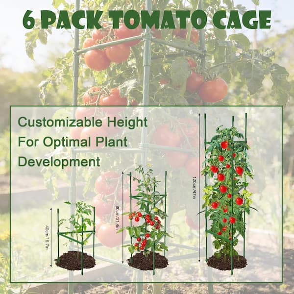 6 adjustable tomato support cages, max 47.2 inches high. Ideal for