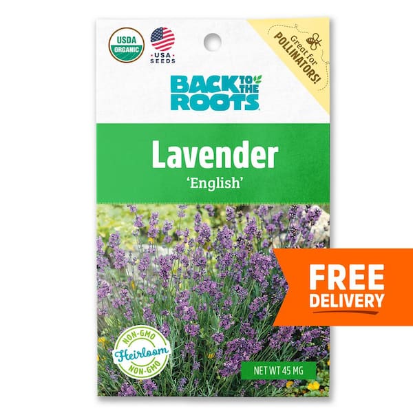 Back to the Roots Organic English Lavender Seed (1-Pack)