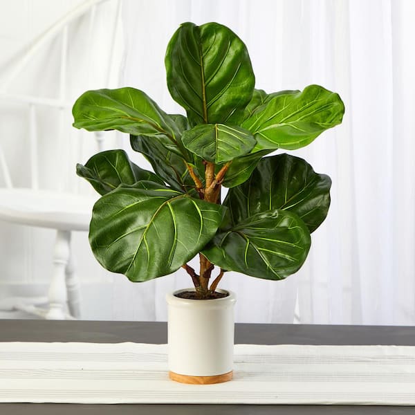 Nearly Natural 21 in. Fiddle Leaf Artificial Tree in White Ceramic Planter