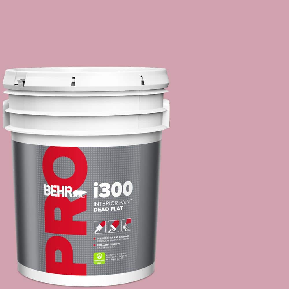 5 gal. #100C-3 Birthday Candle Dead Flat Interior Paint price history on PriceWatchPro