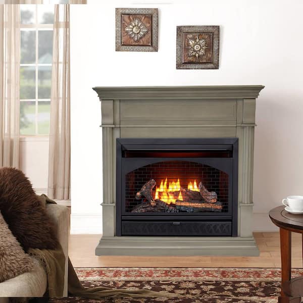 ProCom Heating 26 000 BTU Dual Fuel Vent Free Gas Fireplace System T-Stat  Control in Slate Gray FBNSD28T-2GR - The Home Depot