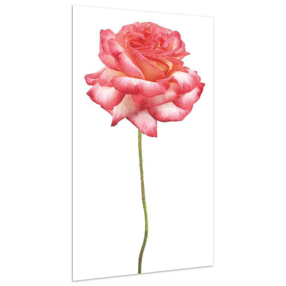 Pink Rose on White Tempered Glass Landscape Wall Art