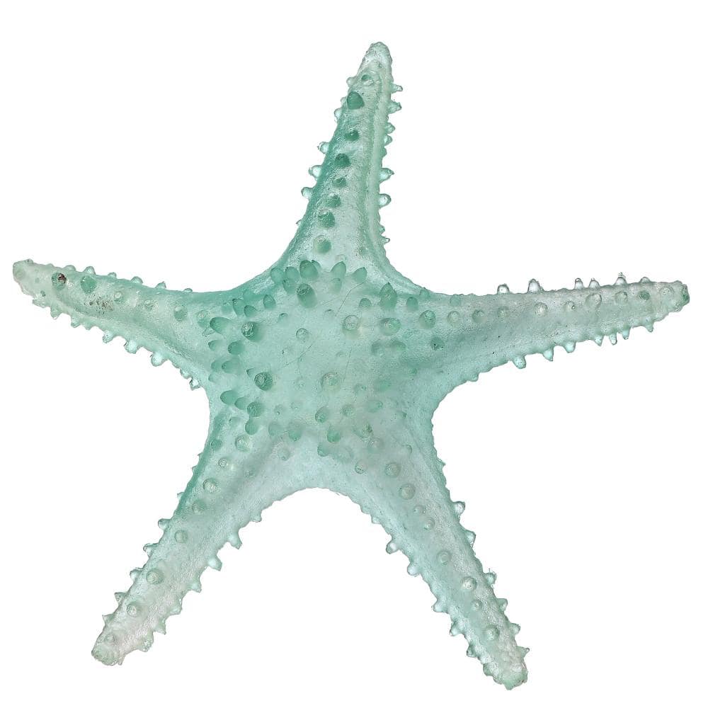 "10"" Clear Resin Starfish" price history on PriceWatchPro