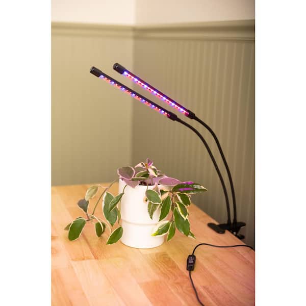 Miracle-Gro 2 Head Grow 10-Watt Equivalent Indoor LED Selectable