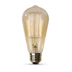 40-Watt ST19 Dimmable Cage Filament Amber Glass E26 Incandescent Vintage Edison Light Bulb, Warm White