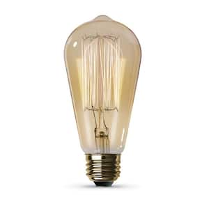 40-Watt ST19 Dimmable Cage Filament Amber Glass E26 Incandescent Vintage Edison Light Bulb, Warm White
