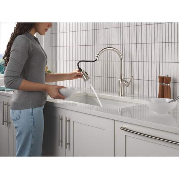 Faryn Stainless 16.5 in. H Pull Down Sprayer Kitchen Faucet with 360° Swivel Spout