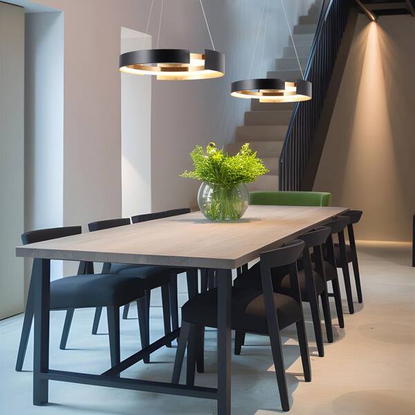 Zevni Modern Chandelier Lights, 1-Light 24W Ring Integrated