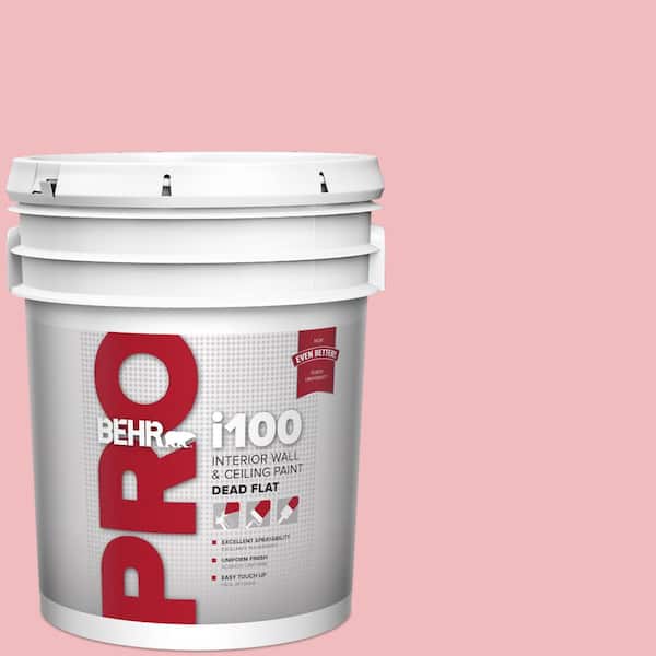 5 gal. #P160-2 Blush Rush Dead Flat Interior Paint