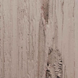 3 in. x 6 in. Garage Door Composite Material Sample in Pecky Cypress Species Primed