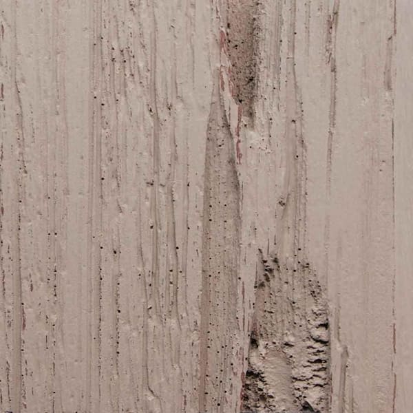 Clopay 3 in. x 6 in. Garage Door Composite Material Sample in Pecky Cypress Species Primed