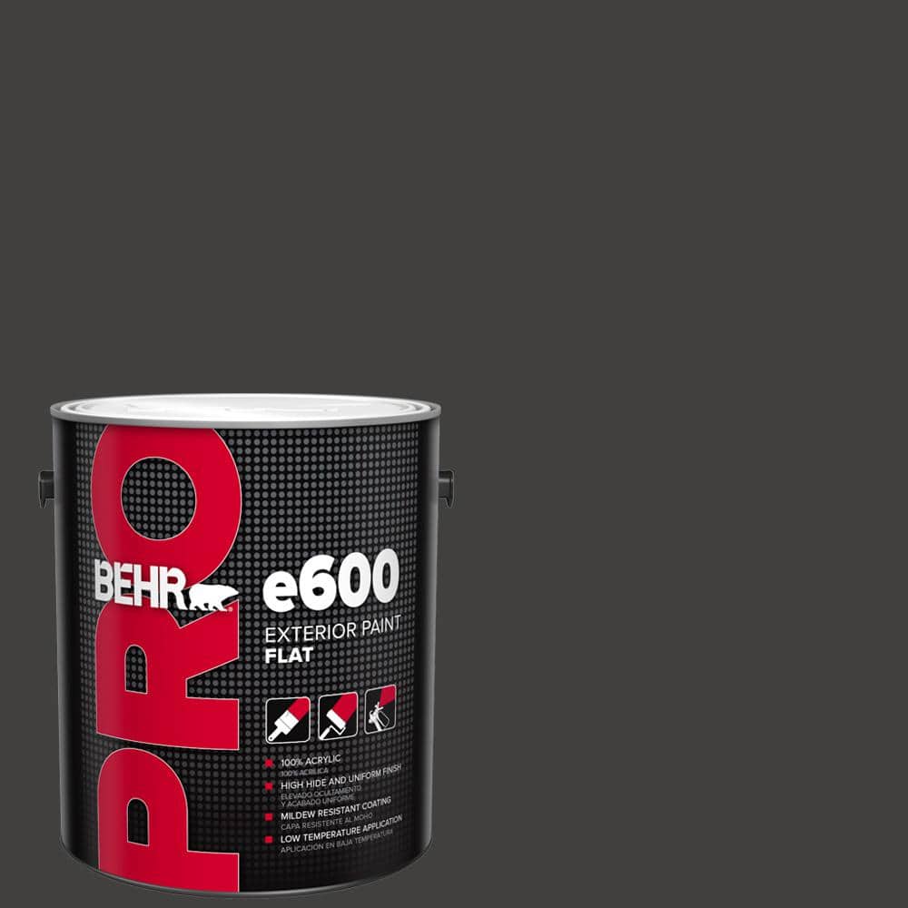 1 gal. #N510-7 Blackout Flat Exterior Paint price history on PriceWatchPro